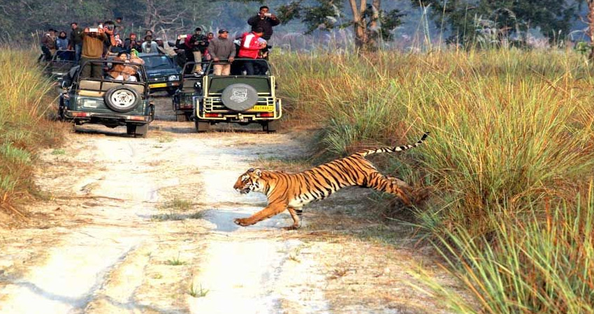 Corbett Safari ,Corbett national park